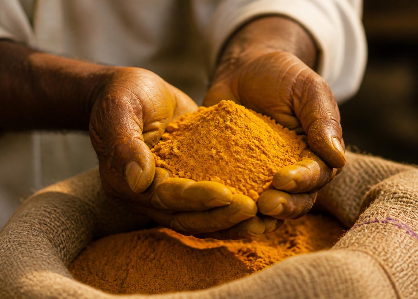 Hands cradling turmeric powder