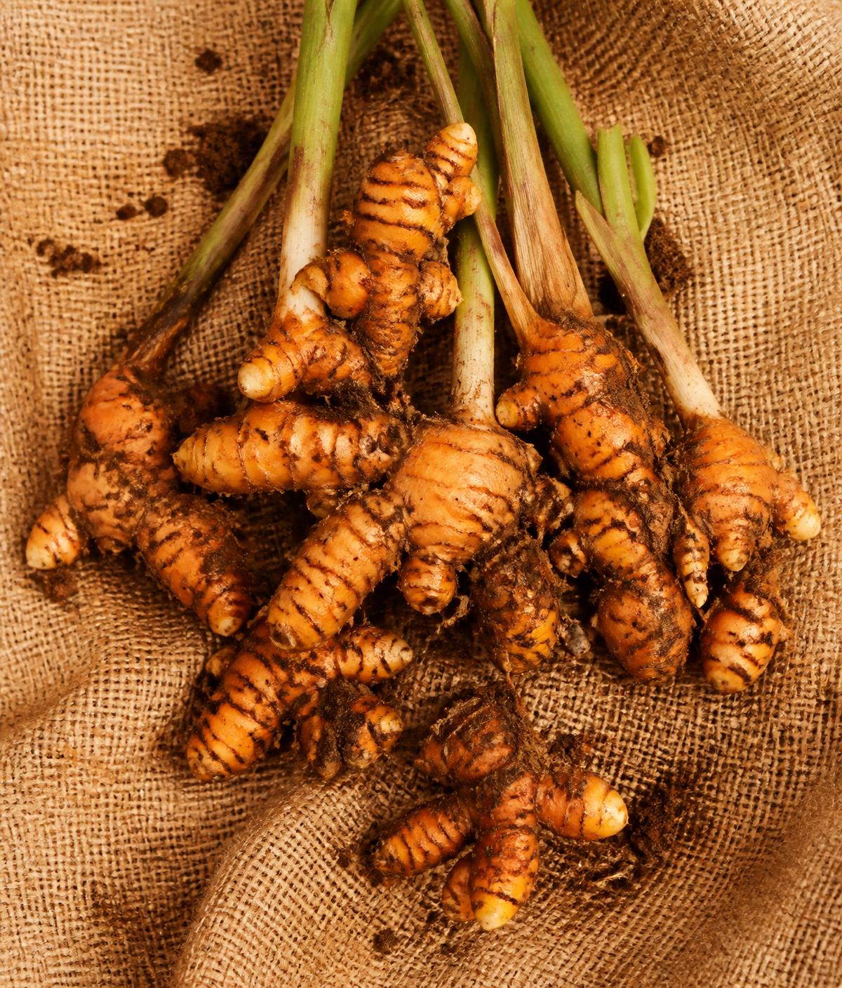 Fresh turmeric roots